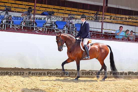 Proof 09r2-3832