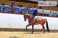 09r2-3832 proof
