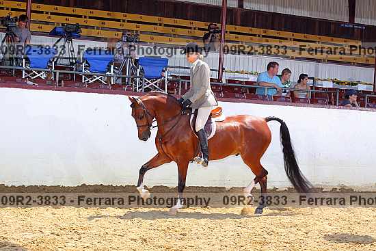Proof 09r2-3833