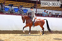 09r2-3833 proof