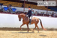 09r2-3835 proof