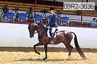 09r2-3836 proof