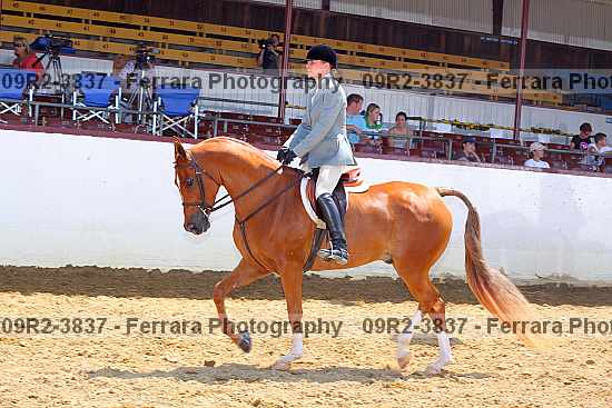 Proof 09r2-3837