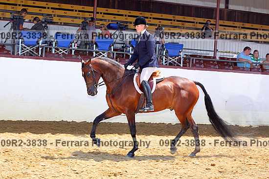Proof 09r2-3838