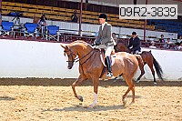 09r2-3839 proof