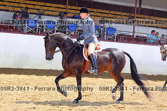 Proof 09r2-3841