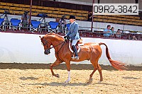 09r2-3842 proof