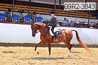 09r2-3843 proof