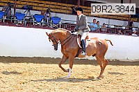 09r2-3844 proof