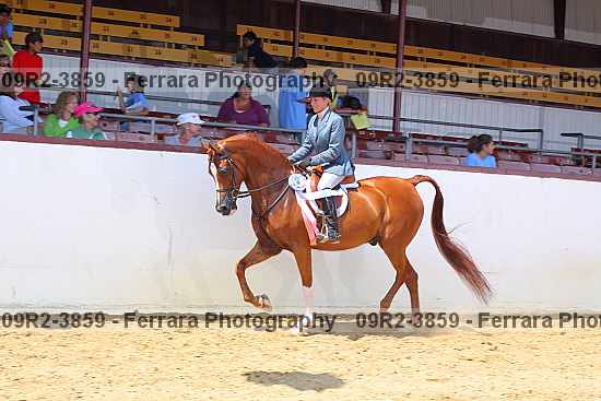 Proof 09r2-3859