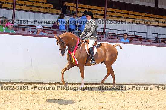 Proof 09r2-3861