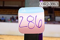 09r2-3863 proof