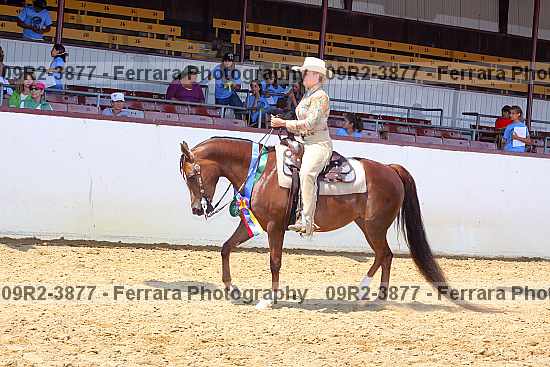 Proof 09r2-3877