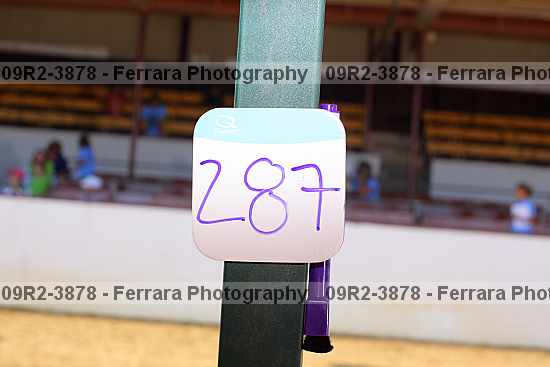 Proof 09r2-3878