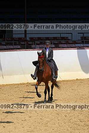 Proof 09r2-3879