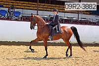 09r2-3882 proof