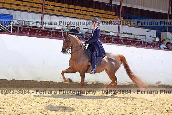 Proof 09r2-3884