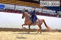 09r2-3884 proof