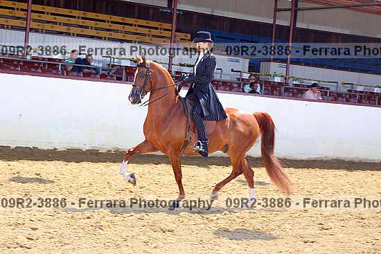 Proof 09r2-3886