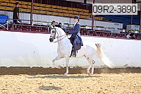 09r2-3890 proof