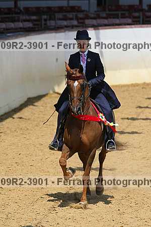 Proof 09r2-3901