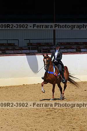 Proof 09r2-3902