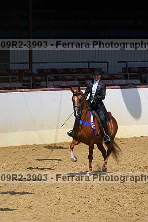 Proof 09r2-3903
