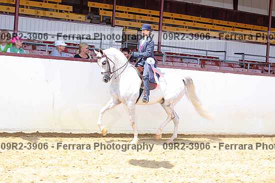 Proof 09r2-3906