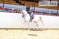 09r2-3906 proof