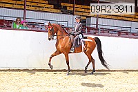 09r2-3911 proof