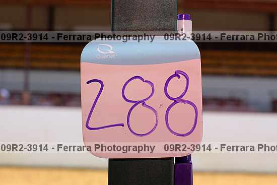 Proof 09r2-3914