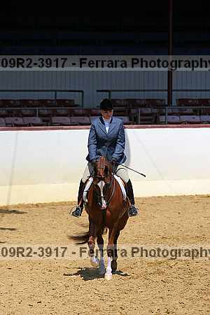 Proof 09r2-3917