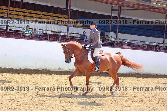 Proof 09r2-3918