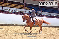 09r2-3918 proof