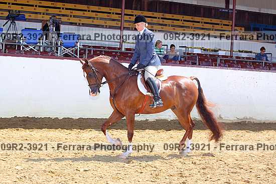Proof 09r2-3921
