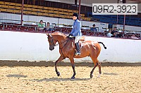 09r2-3923 proof