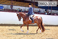 09r2-3926 proof