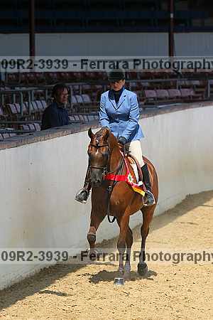 Proof 09r2-3939