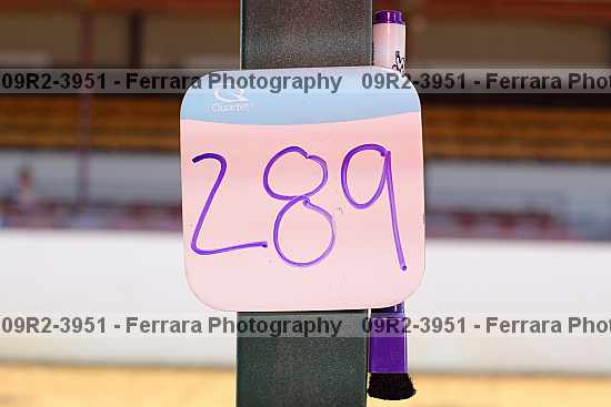 Proof 09r2-3951