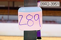 09r2-3951 proof