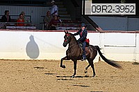 09r2-3952 proof