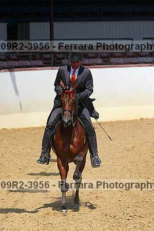 Proof 09r2-3956