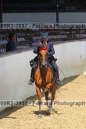 Proof 09r2-3957