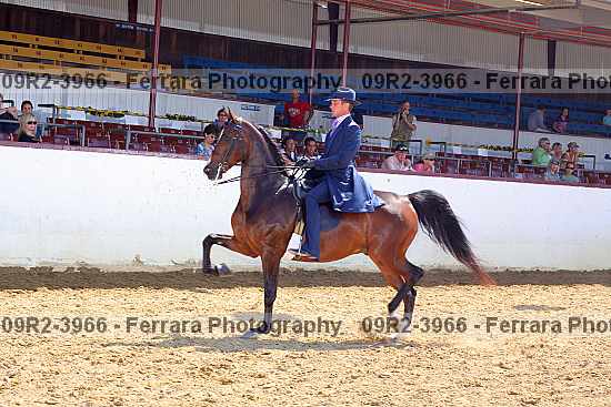 Proof 09r2-3966