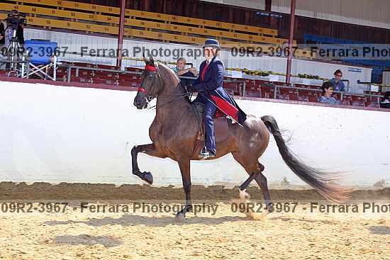 Proof 09r2-3967