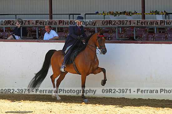 Proof 09r2-3971