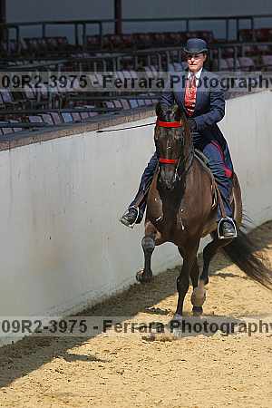 Proof 09r2-3975