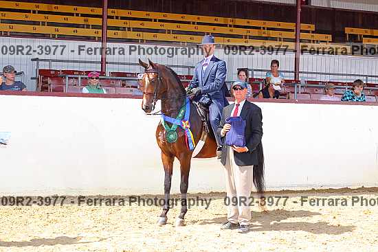 Proof 09r2-3977