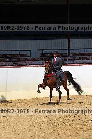 Proof 09r2-3978