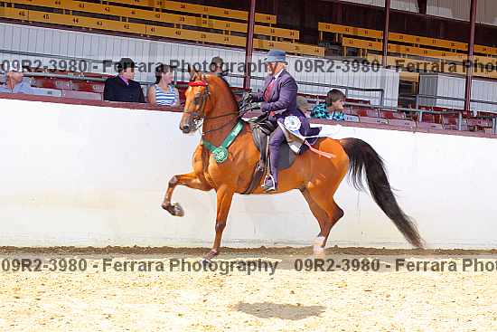 Proof 09r2-3980